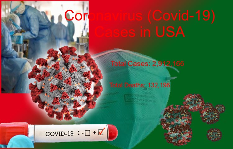 USA Coronavirus Update - Covid-19 confirmed cases rise to 2,912,166, Total Deaths reaches to 132,196 on 04-Jul-2020